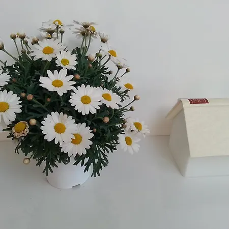 Oda ve Kahvaltı Alta