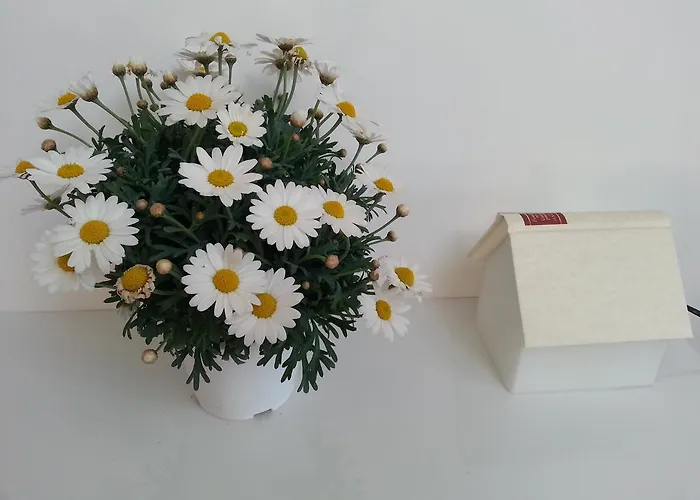 Alojamento de Acomodação e Pequeno-almoço Alta